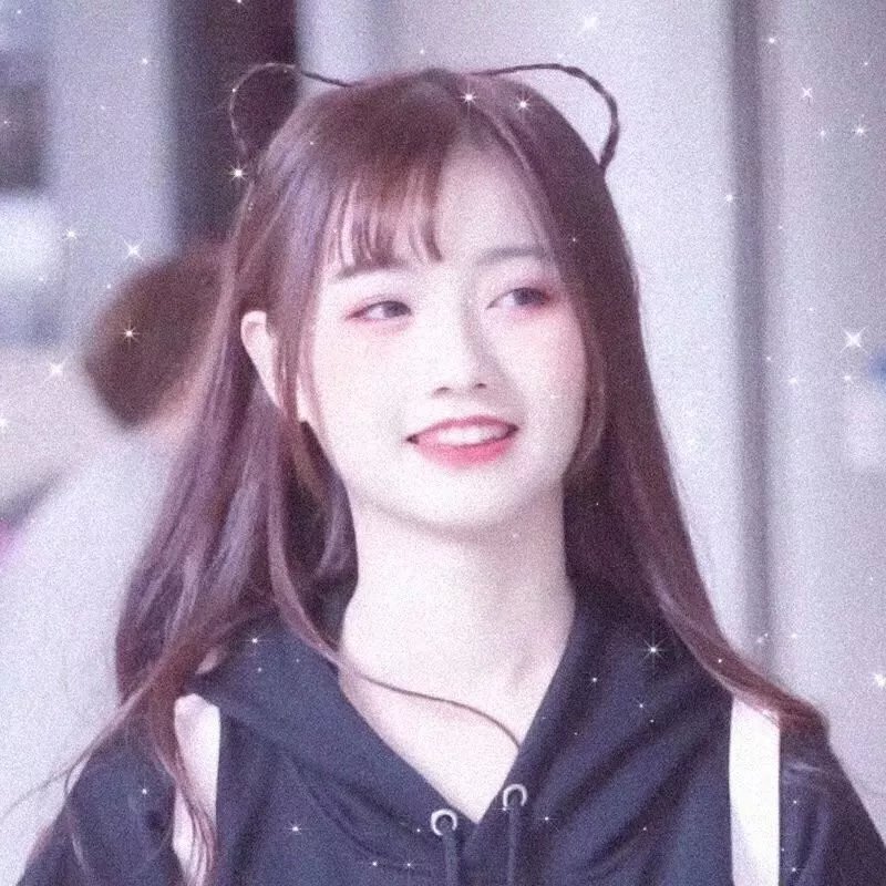 玫瑰无原则心动至上